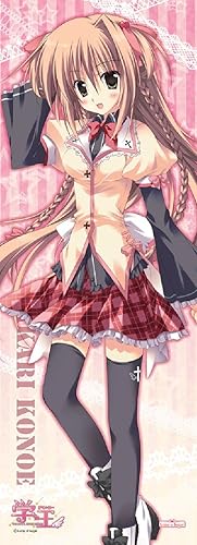 Amazon 学王 等身大タペストリー 近衛光莉 アニメ 萌えグッズ 通販