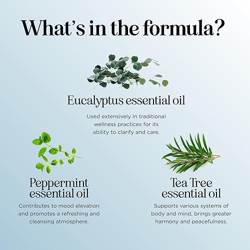 Miniatura 64 de Mezcla de aceites esenciales para dormir para difusor, aceite esencial de ensueño para difusores de aromaterapia y bienestar con Ylang-Ylang Clary