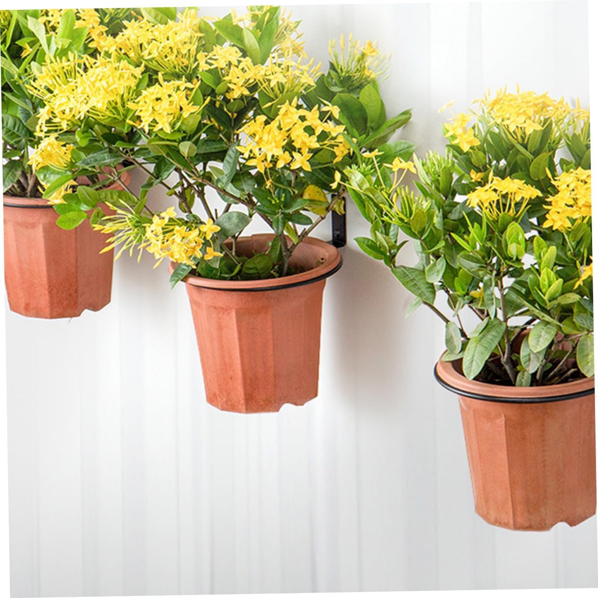 Toyvian 3pcs Iron Wall Mounted Flower Pot Holder Rings Hanging Planter Rack Screws 8-inch for Balcony Outdoor Garden Wall Planter Storage