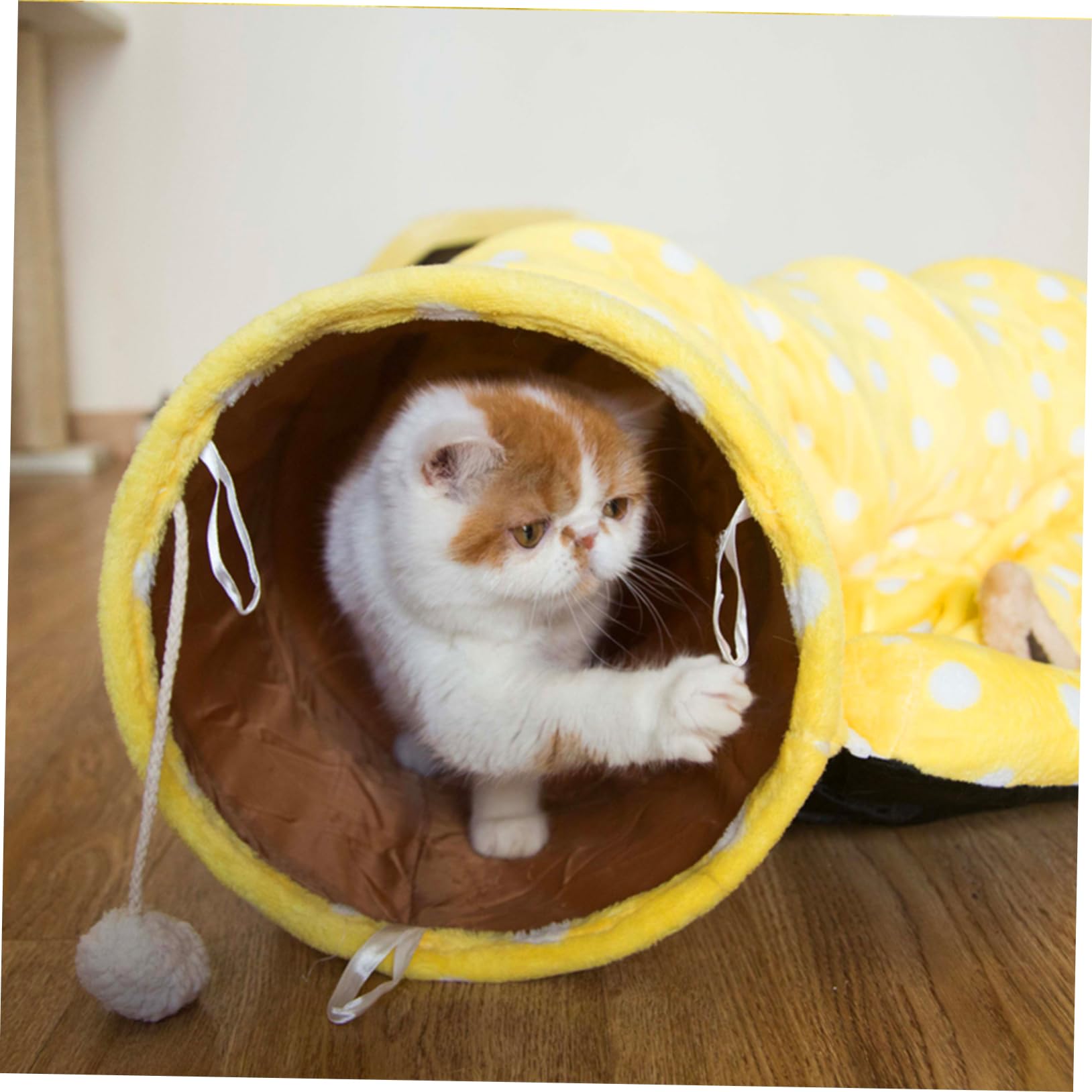 HEMOTON Tunnel Pliable pour Chat Jouet Tunnel-Tente Amusant pour Chat Et Chaton Nid Confortable