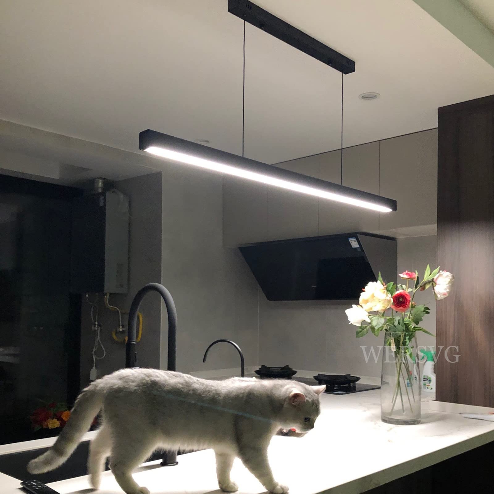 Lámpara colgante moderna LED regulable para techo con control remoto