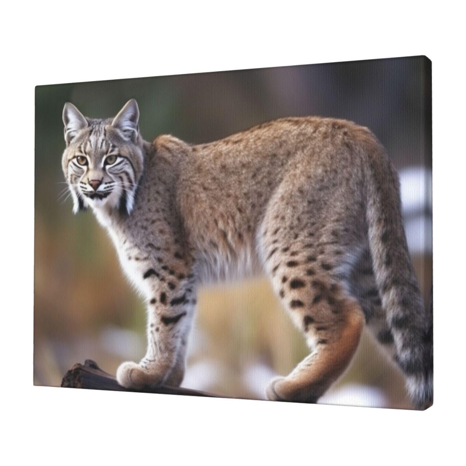KLOPH Wild bobcat Canvas Wall Art for Living Room 12"x16" Modern Artwork Painting for Bathroom Hanging Canvas Prints Aesthetic Wallart for Bedroom Kitchen Office Wall Decor