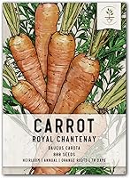 Vista 1 de Seed Needs, Royal Chantenay - Semillas de zanahoria para plantar (Daucus carota) Paquete individual de 800 semillas, reliquia, sin OMG y sin tratar