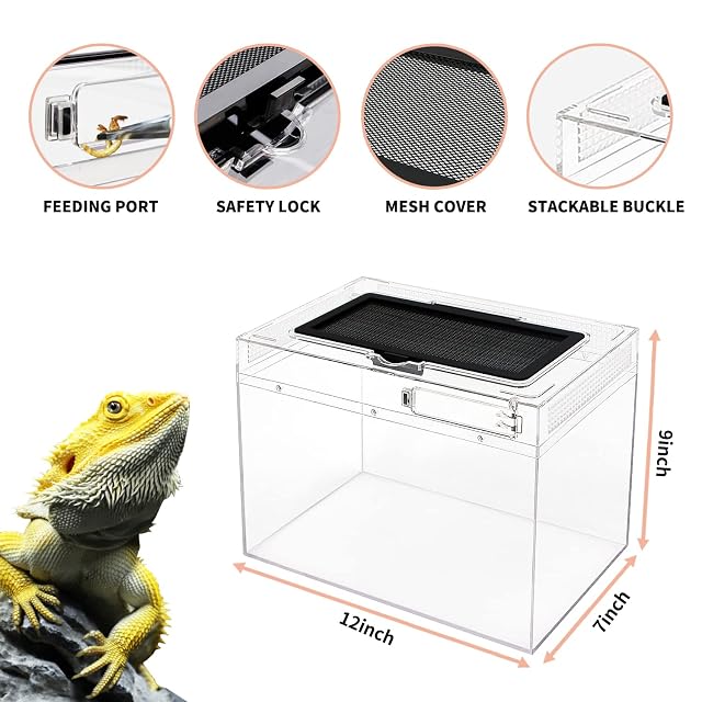 Foto 3 de 6 de Reptile Growth Terrario para Reptiles, 12 x 7 x 9 Pulgadas, Vidrio, Cristal Seguro a Prueba de explosiones