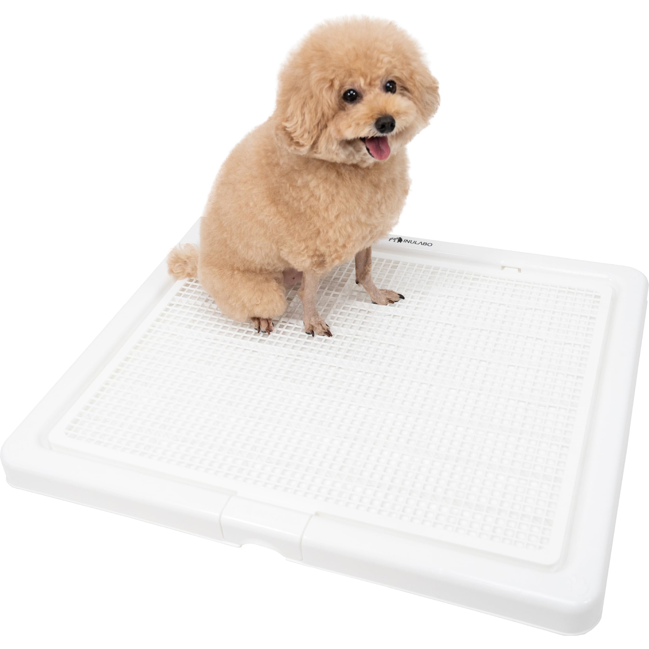 INULABO(イヌラボ) 犬 トイレ 高床式 大型犬 中型犬 トレー XXL Amazon | INULABO(イヌラボ) 犬 トイレ トレー 高床式 大型犬 中型犬