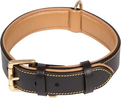 best shock collar for puppies