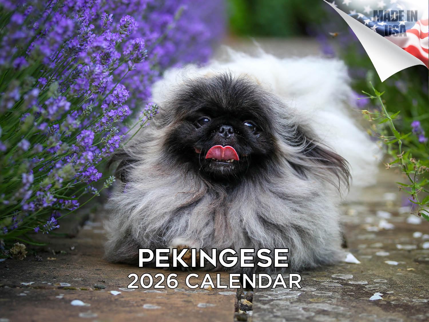 Calendario pequinés 2024 2025 – Calendario mensual de pared de raza de perro – 12 x 18 pulgadas abierto – Papel grueso que no se corre – Regalo – Calendario académico para profesores organizando y