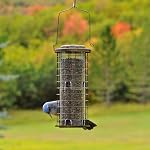 Perky-Pet 114 Squirrel Stumper Feeder, 3-Pound