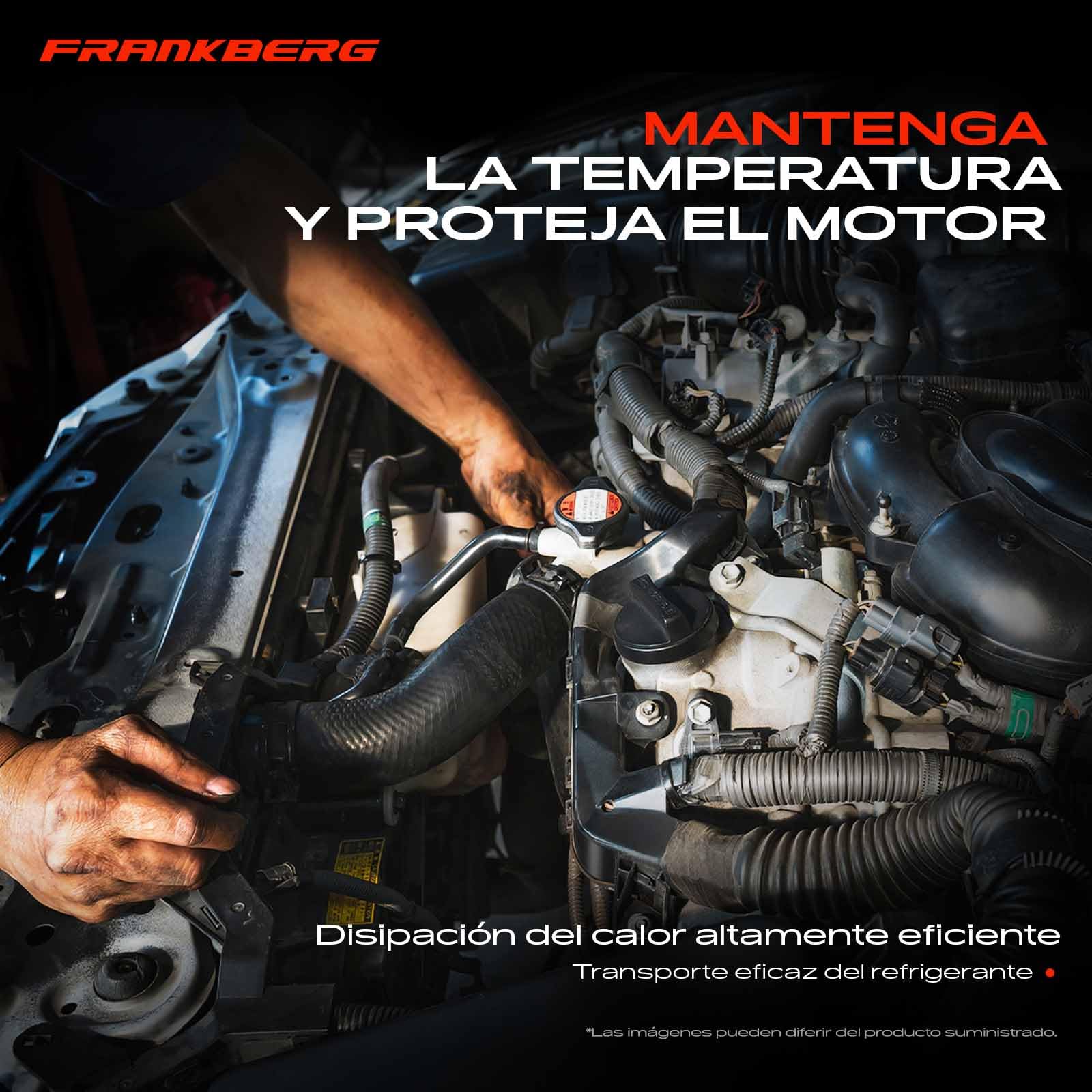 Frankberg Manguera de refrigerante manguera del motor delantera | Compatible con: M.i.n.i R.o.a.d.s.t.e.r R59, M.i.n.i Clubman R55, M.i.n.i R56, M.i.n.i Paceman R61