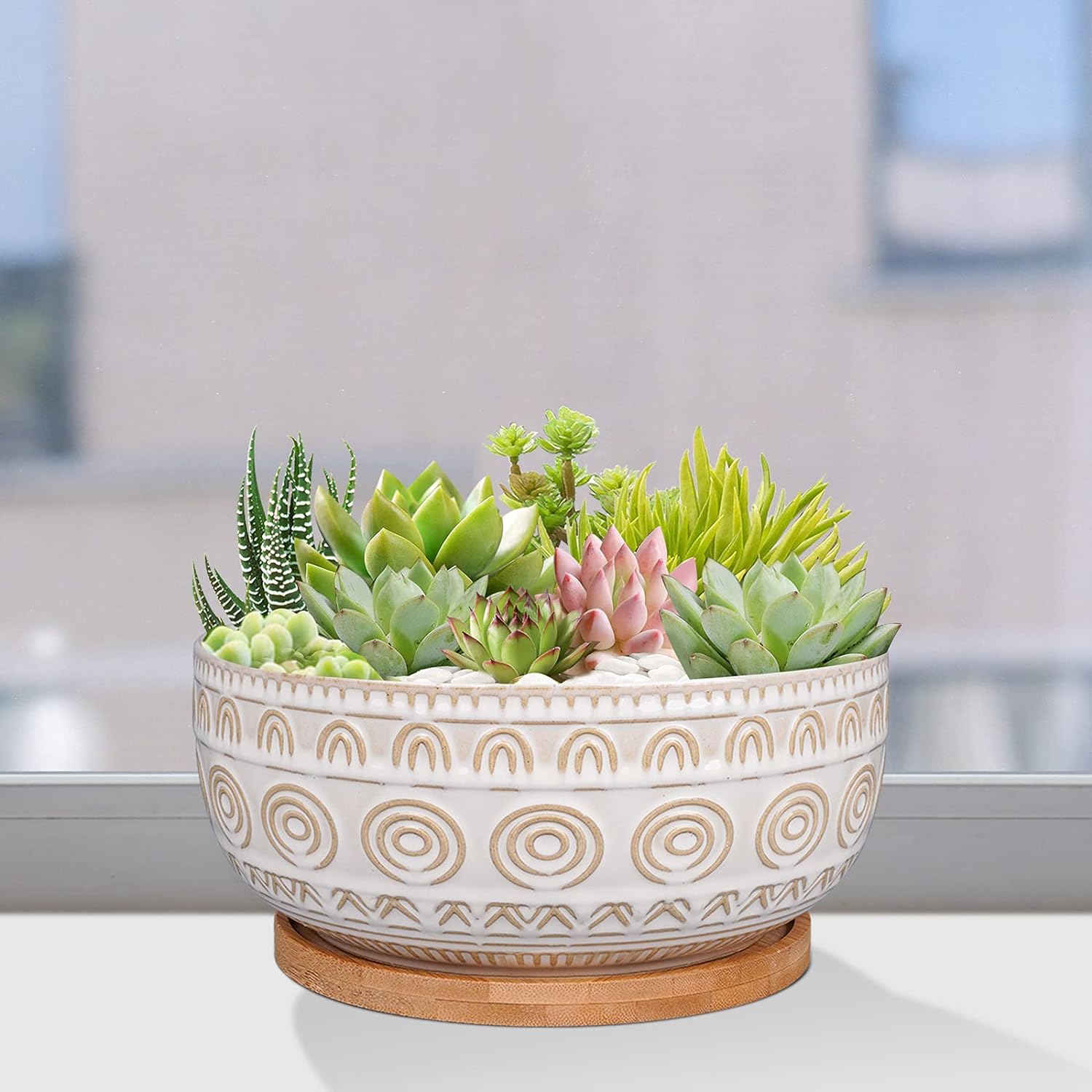 Elegant 8-Inch White Succulent Planter with Drainage and Saucer