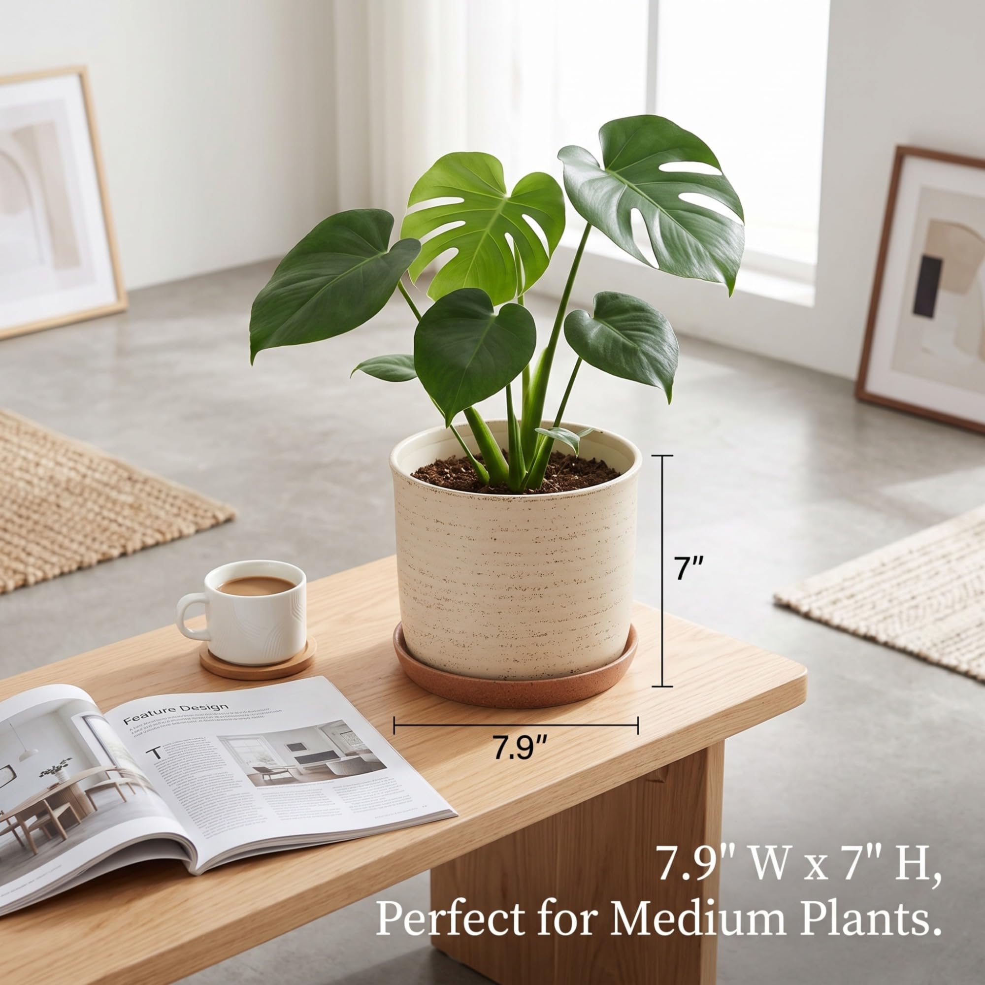 20,3 cm Blumentopf: Keramik-Übertopf mit Ablaufloch und Untersetzer, Blumentopf für Innen- und Außenpflanzen mit separatem Tablett für Zuhause und Büro, Pinselfarbe