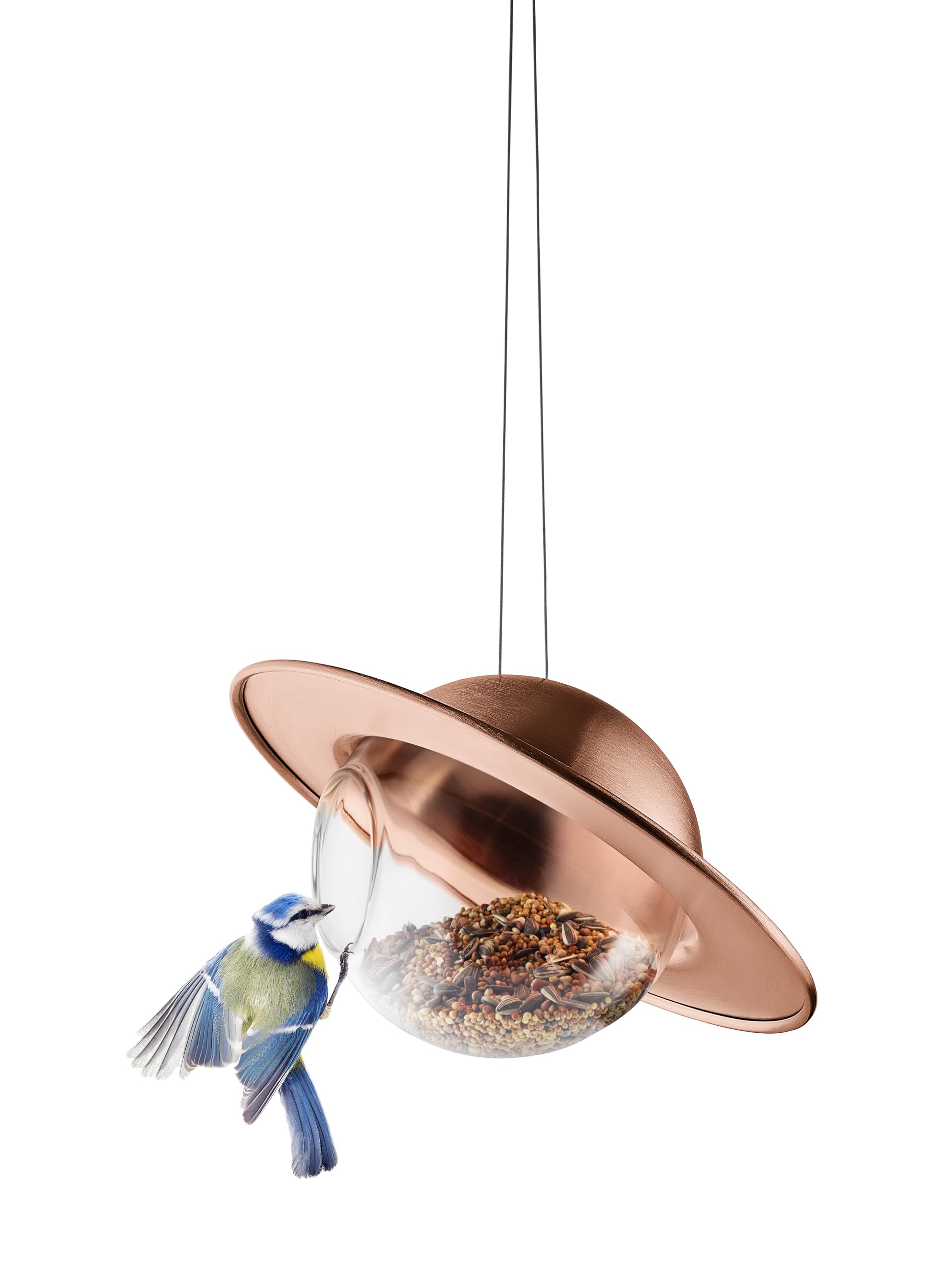 EVA Solo Saturn - Comedero para pájaros de Cobre, comedero con orbe de Vidrio Transparente y Techo Protector, Disfruta de pájaros de jardín Durante Todo el año, Resistente a Todo Tipo de Clima y bajo