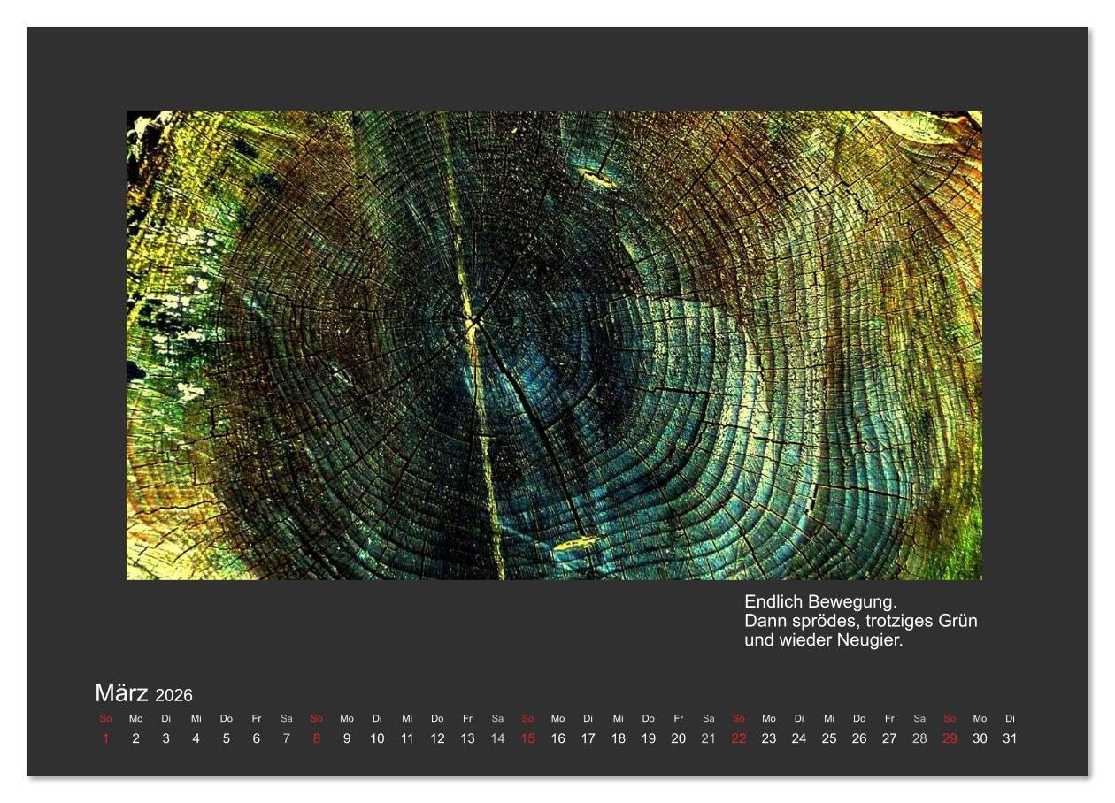 MAGIE HOLZ 2026 (hochwertiger Premium Wandkalender 2026 DIN A2 quer), Kunstdruck in Hochglanz: Holzfotografien mit Haikus (CALVENDO Natur)
