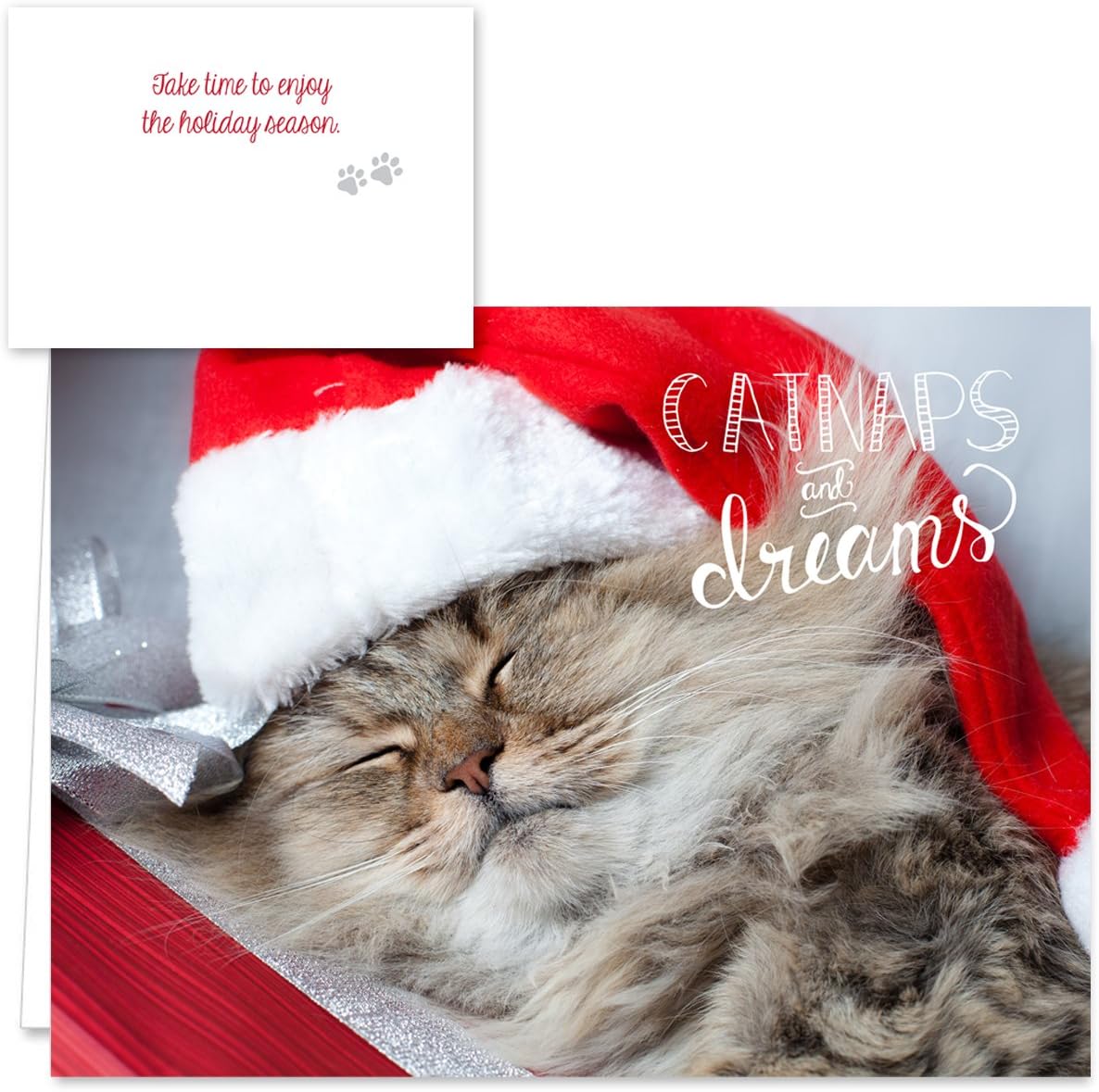 Canopy Street Christmas Cats Holiday Card Assortment Pack / 25 Seasonal Kitten Greeting Cards And Envelopes / 5 Sleeping Santa Animal Designs And Christmas Messages