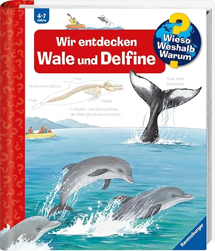 Wieso? Weshalb? Warum? Band 41: Wir entdecken Wale und Delfine (Wieso? Weshalb? Warum?, 41)