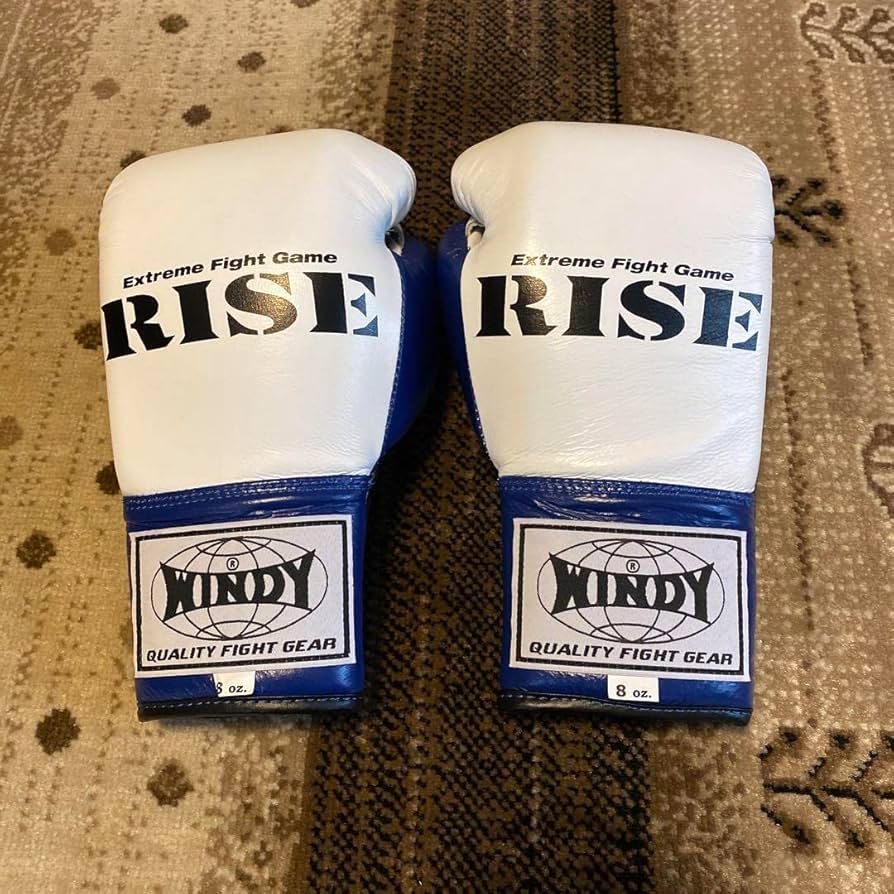 RISEグローブ　8oz RISE ボクシンググローブ 8oz