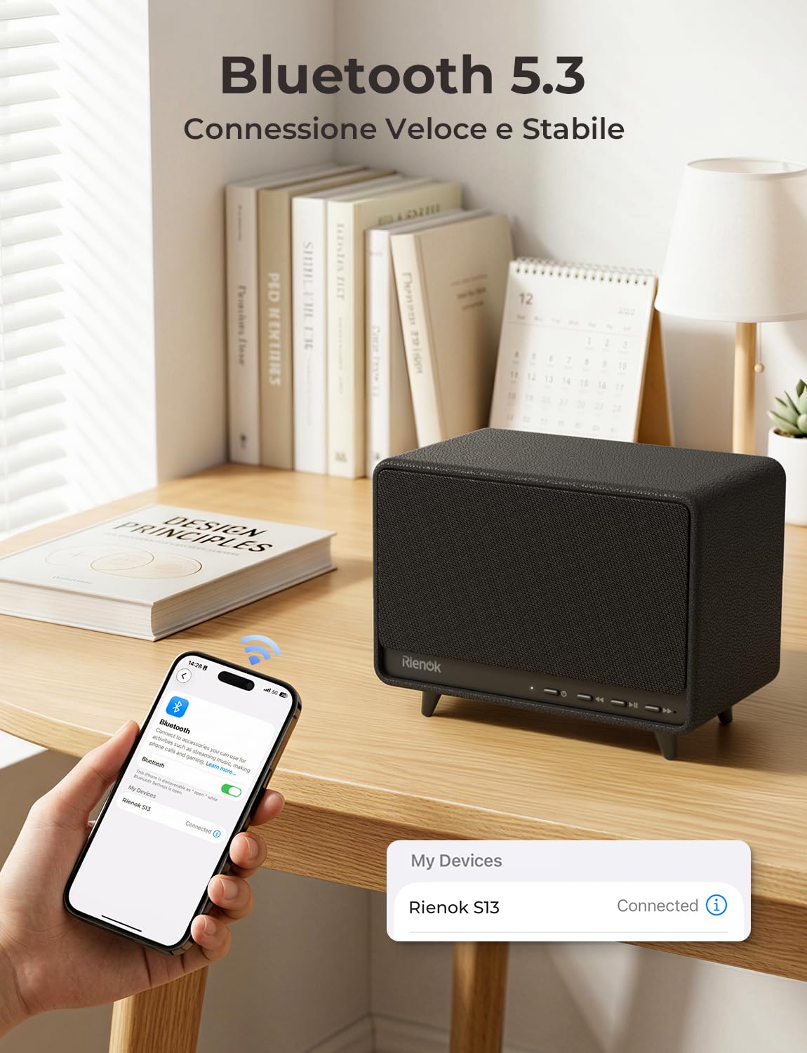 RIENOK Cassa Bluetooth Potente 40W Senza Fili Altoparlante Bluetooth Casa | Supporta USB/TF/AUX, Chiamate in Vivavoce, 24 Ore di Autonomia, Vero Stereo Wireless, Adatto per Feste in Salotto