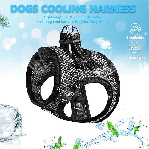 Miniatura 10 de Arnés para perro, arnés de malla cómoda para perro, arnés Vesr extra pequeño para mascotas, arnés acolchado suave y ligero para gato, perrito,