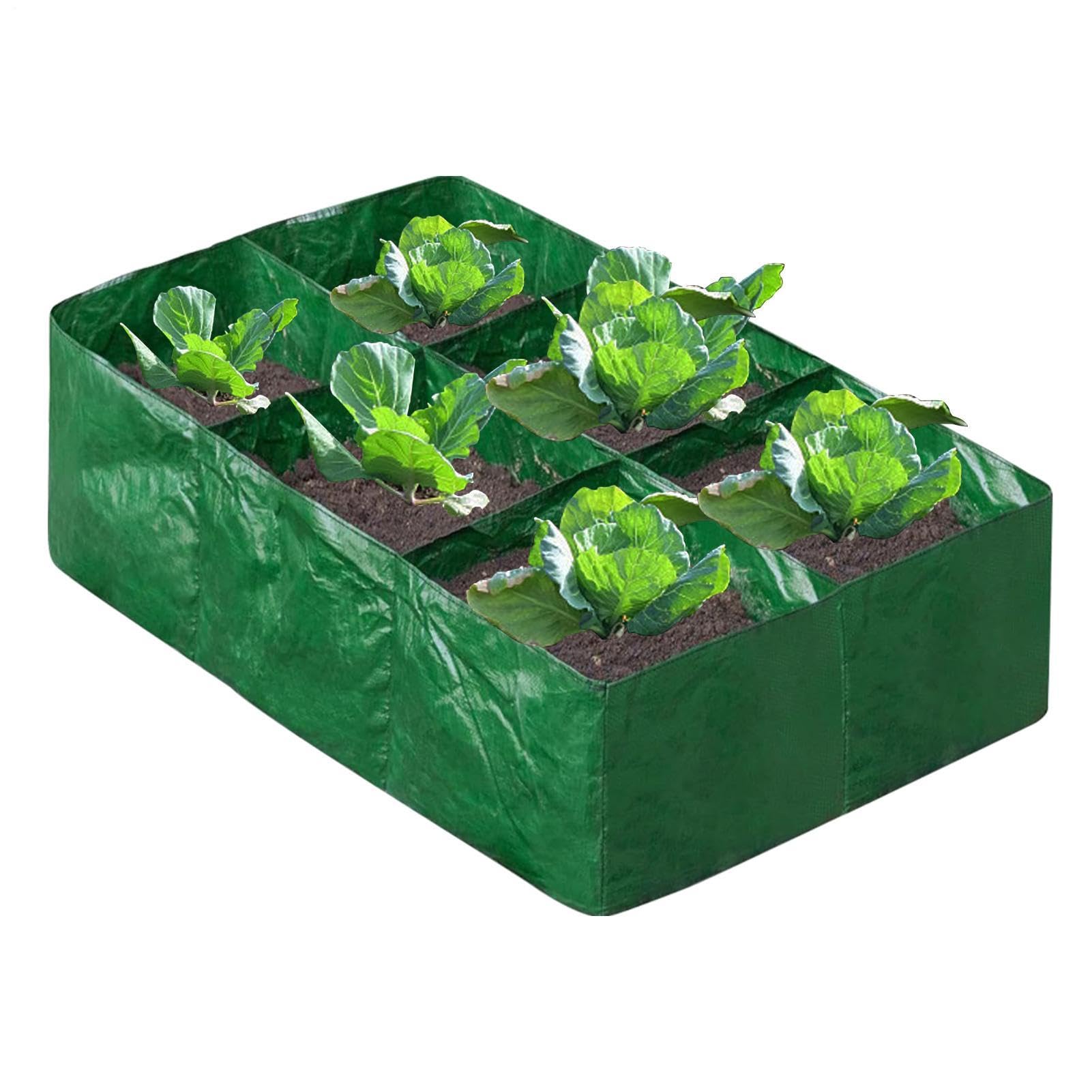 Contenedor para cultivo de plantas sin espacio de tierra en el jardín