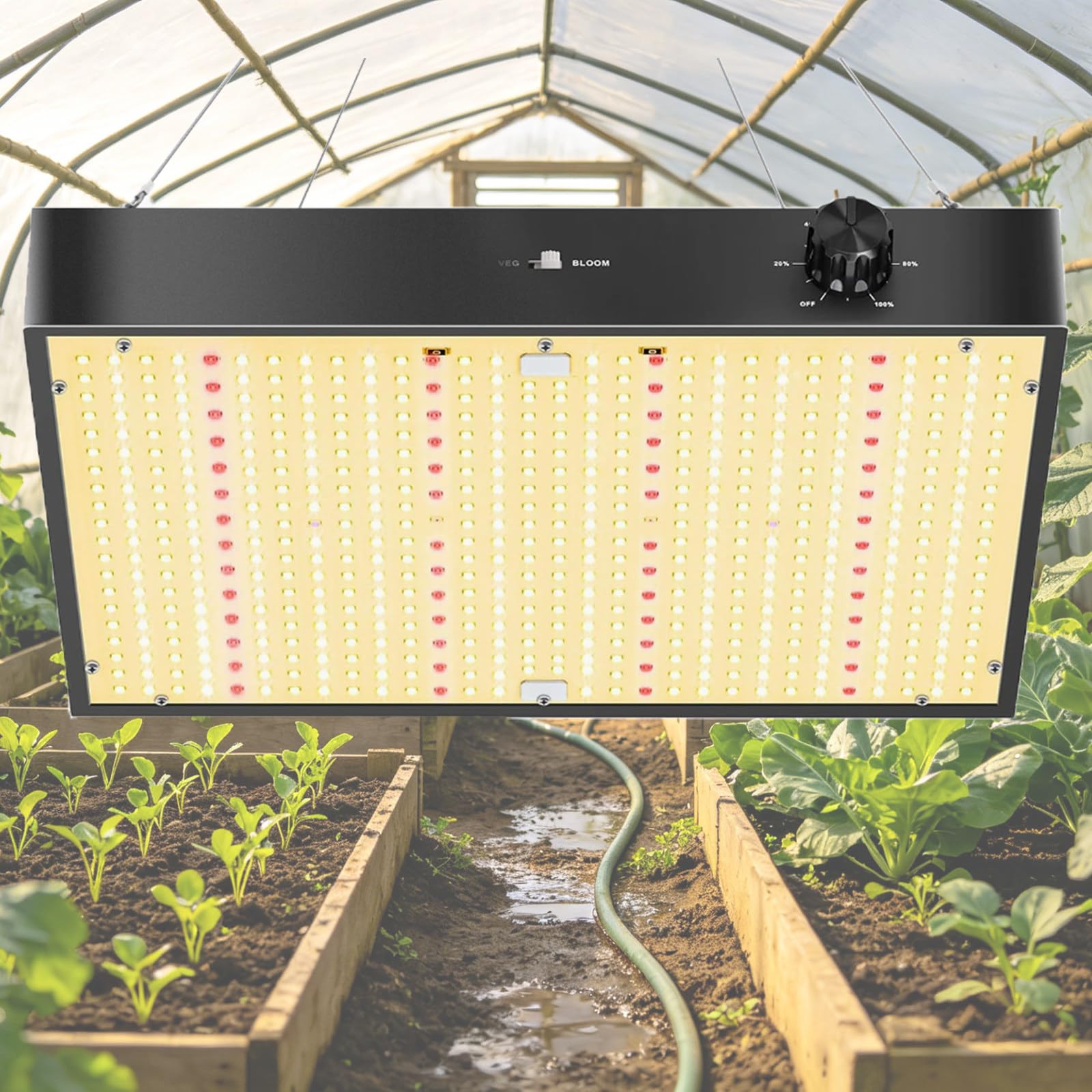 KRYANFEN Full Spectrum Grow Light 100W Dual Modes Warm Cool White Dimmable 0-10V LED Grow Light High Yield for Greenhouse Veg Bloom and Indoor Plants Growth PB2000SingleDimming