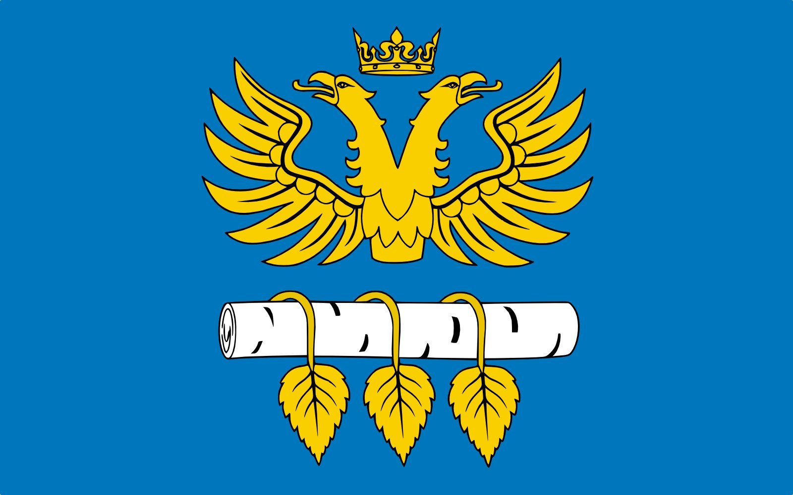 Drapeau Powiat Brzozowski grand modèle pour décoration de salle et événements
