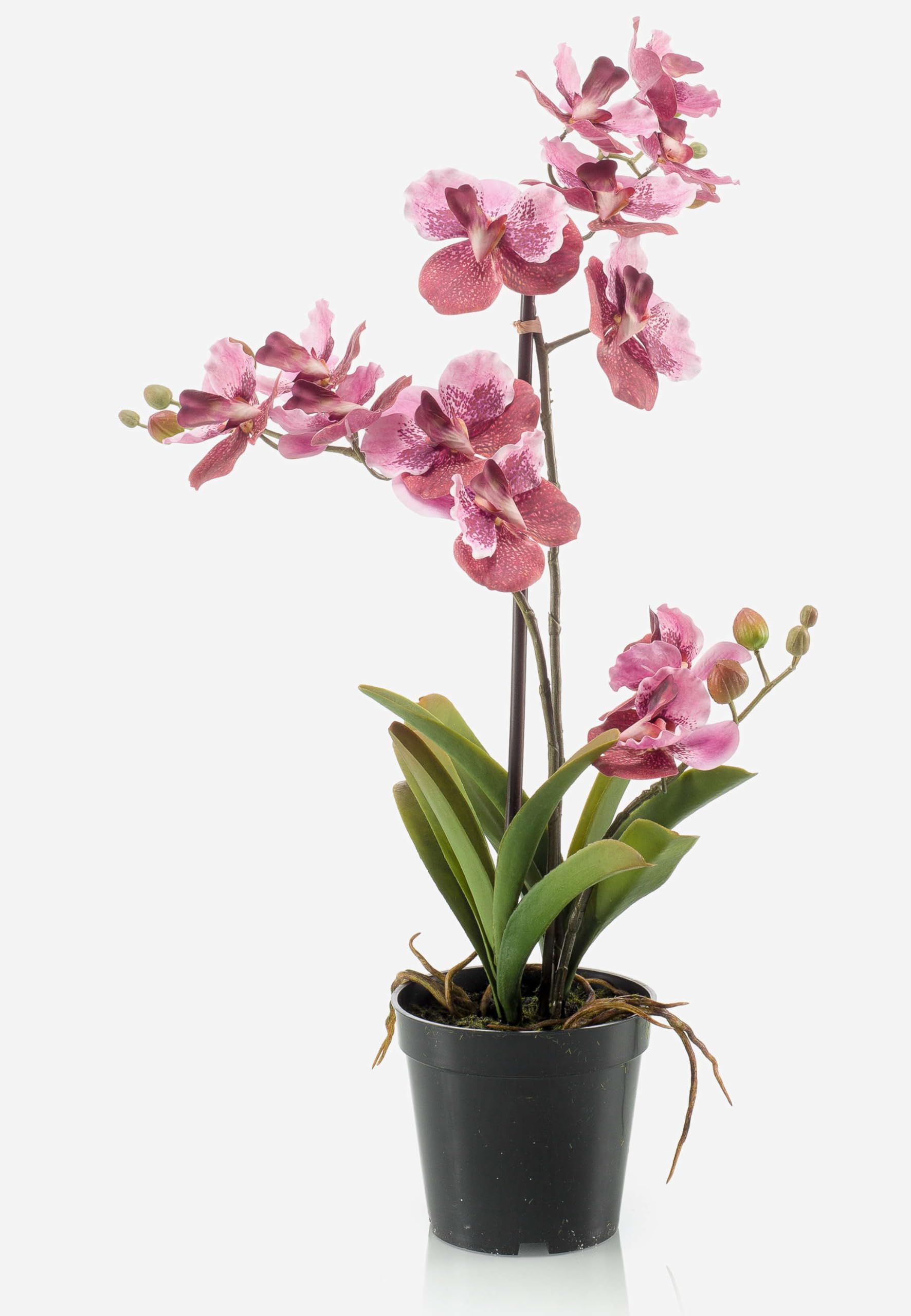 artplants.de Fake Orchid Vanda CAMPO, Pink, 60cm - Artificial Orchid
