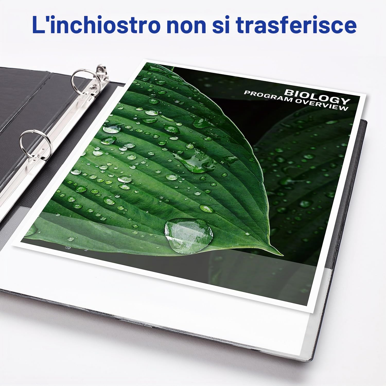 Avery Raccoglitore a 3 anelli resistente, anello inclinato One Touch da 10,2 cm, contiene carta da 21,6 x 27,9 cm, 4 raccoglitori bianchi (79704)