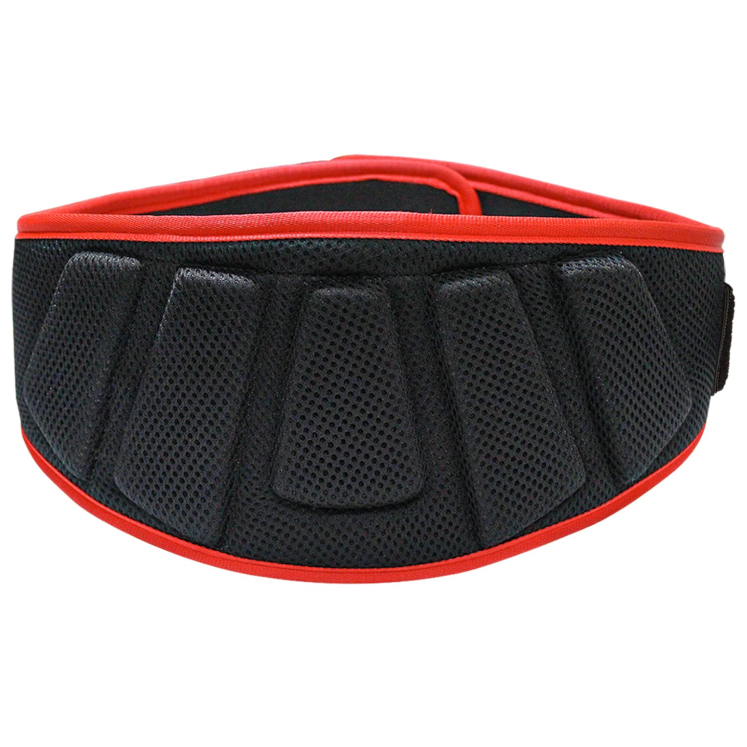 MuscleXP Gym Nylon Padded Weightlifting Belt, Unisex, Ultra-Light Foam Core For Fitness Workout, Contoured Design, Loop Closure, Black (Large Size) (B09W2D7WWB) Amazon Price History, Amazon Price Tracker