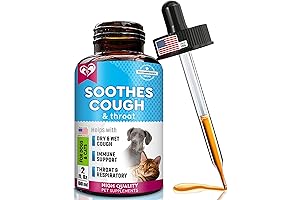 Kennel Cough and Natural Infection Medicine for Dogs with Collapse Trachea Support