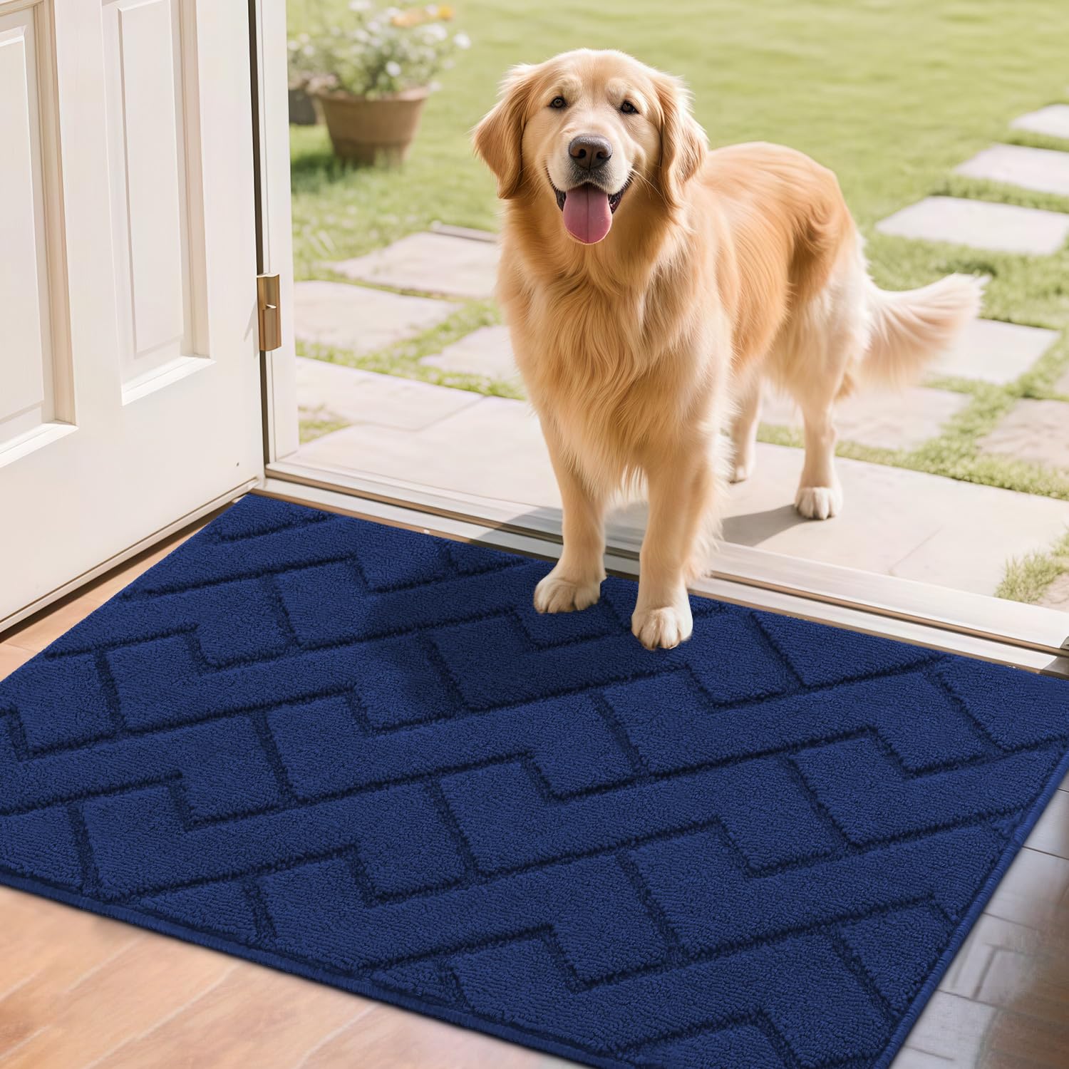 Amazon.com: hicorfe Door Mat Indoor Entrance,24
