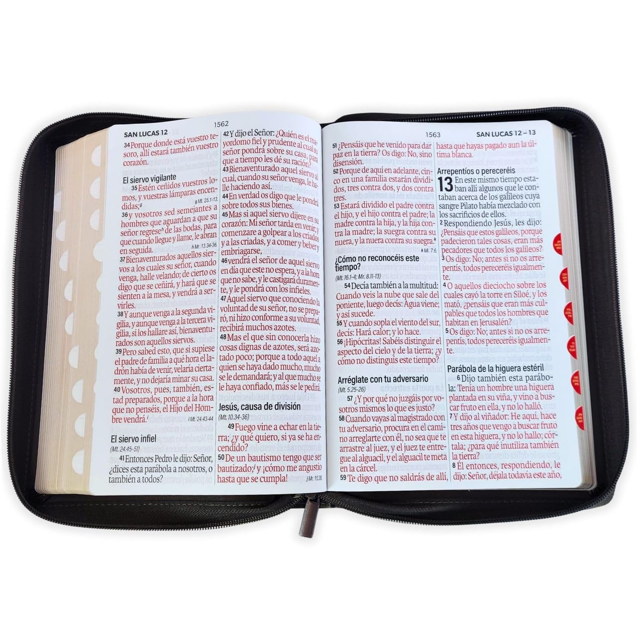 Biblia Reina Valera 1960 Letra Super Gigante 19 puntos Mediana con Cierre marron con indice - Arca del Pacto      Imitation Leather – January 24, 2026