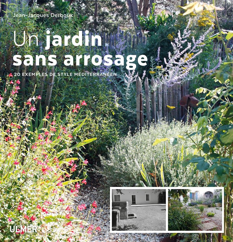 Jardin sans arrosage guide pratique pour cultiver un espace vert sans eau