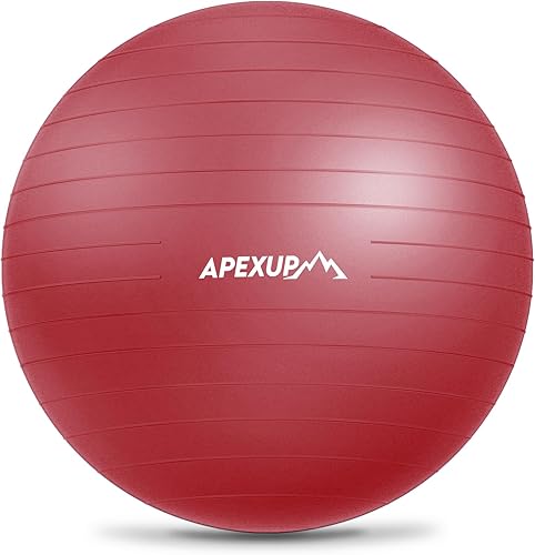 Miniatura 19 de APEXUP Pelota de Yoga Pelota de Ejercicio Antideslizante Resistente para Fitness, Equilibrio y Entrenamiento del Core Negro,Azul,azul rosa,Azul