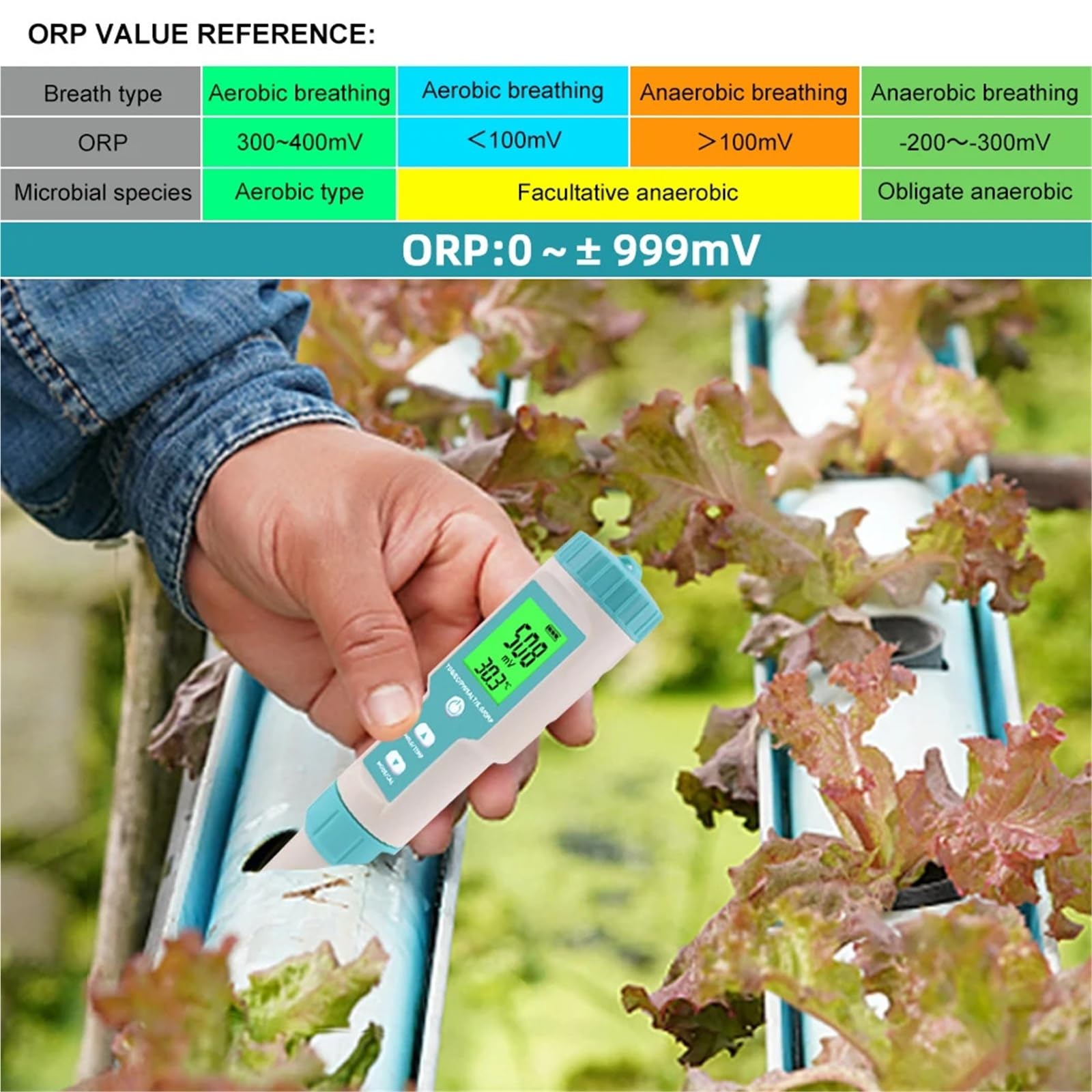 BASSFLY Tester dell'Acqua, Misuratore di salinità 7 in 1 PH TDS EC ORP SG Temp Tester qualità Acqua IP67 Monitor for Piscine Strumento analisi for acquari Acquario, Piscina