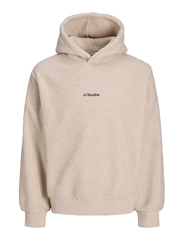 JACK & JONES Jjsoho Teddy Sweat Hood Sn