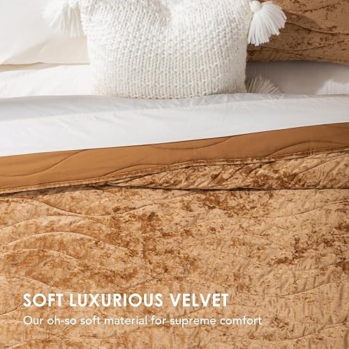 Miniatura 3 de EVERGRACE Juego de edredón de terciopelo de lujo tamaño Queen, juego de ropa de cama de terciopelo aplastado ultrasuave, juego de edredón ligero