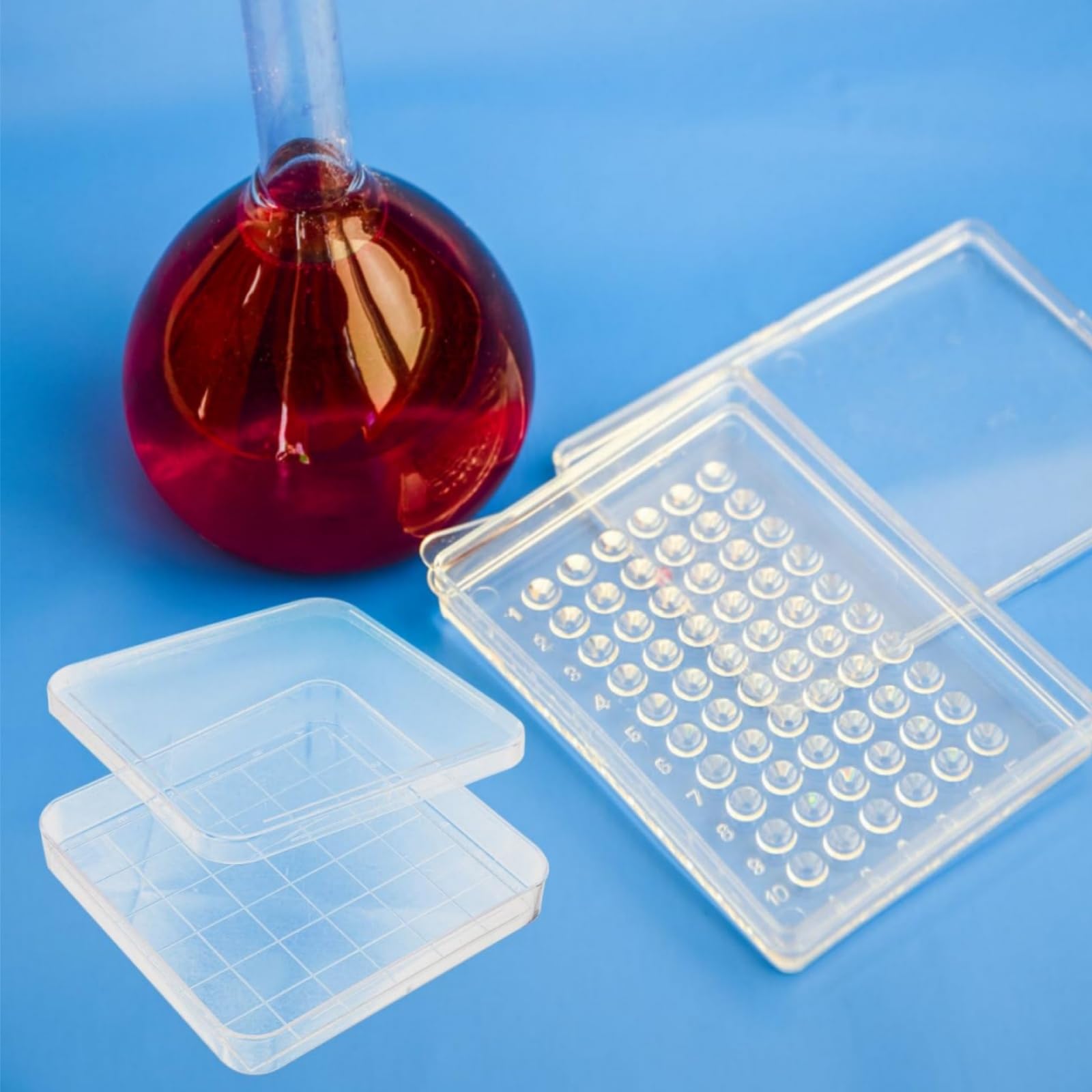 Boîtes de Petri carrées 10x10 cm en plastique avec couvercle transparent et grille - lot de 20 - pour laboratoire, microbiologie, mycologie, culture cellulaire, projets scolaires et recherches