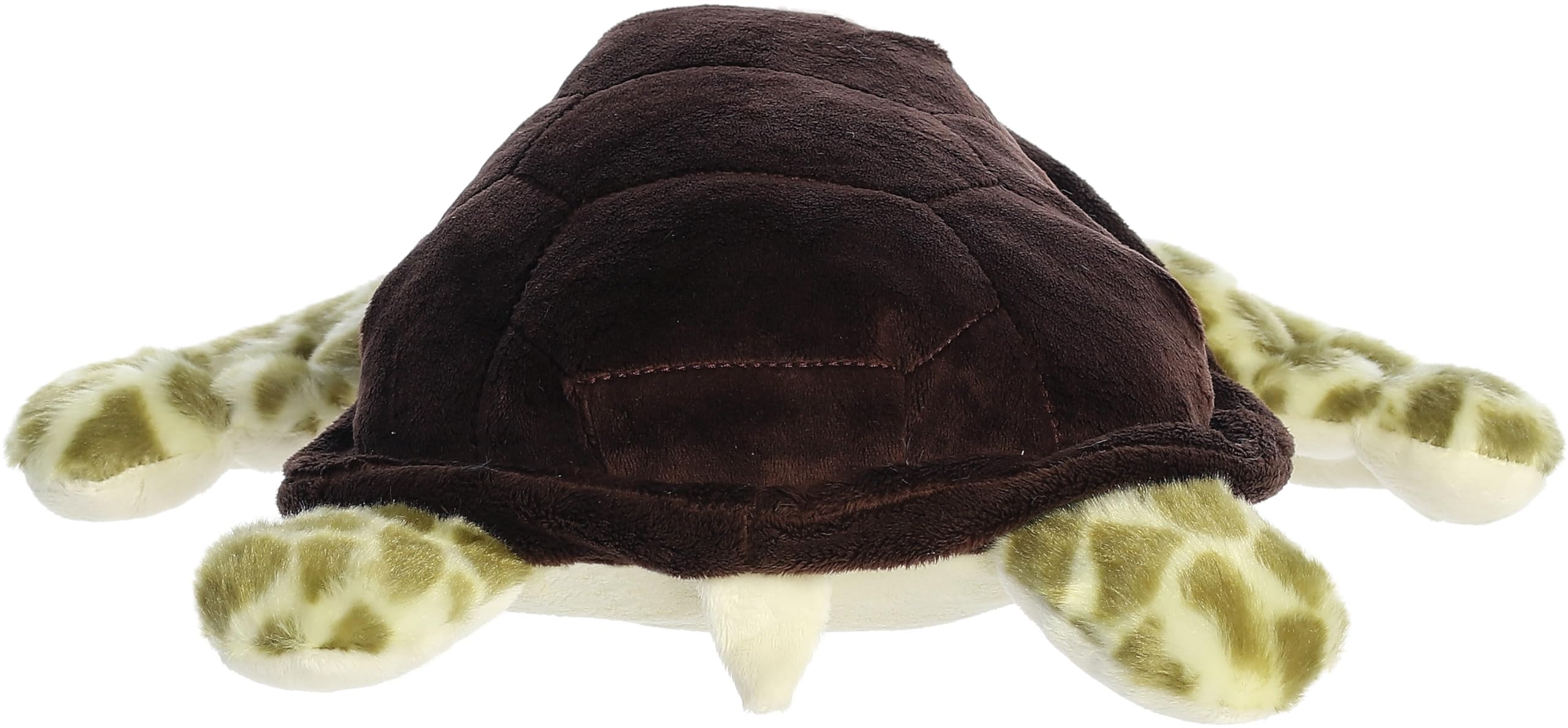Aurora - Destination - 13" Sea Turtle - Image 5