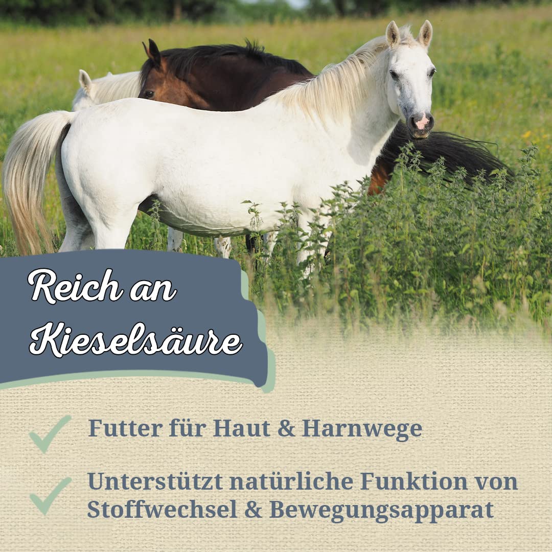 Krauterie Brennnessel für Pferde, geschnitten (2000 g)