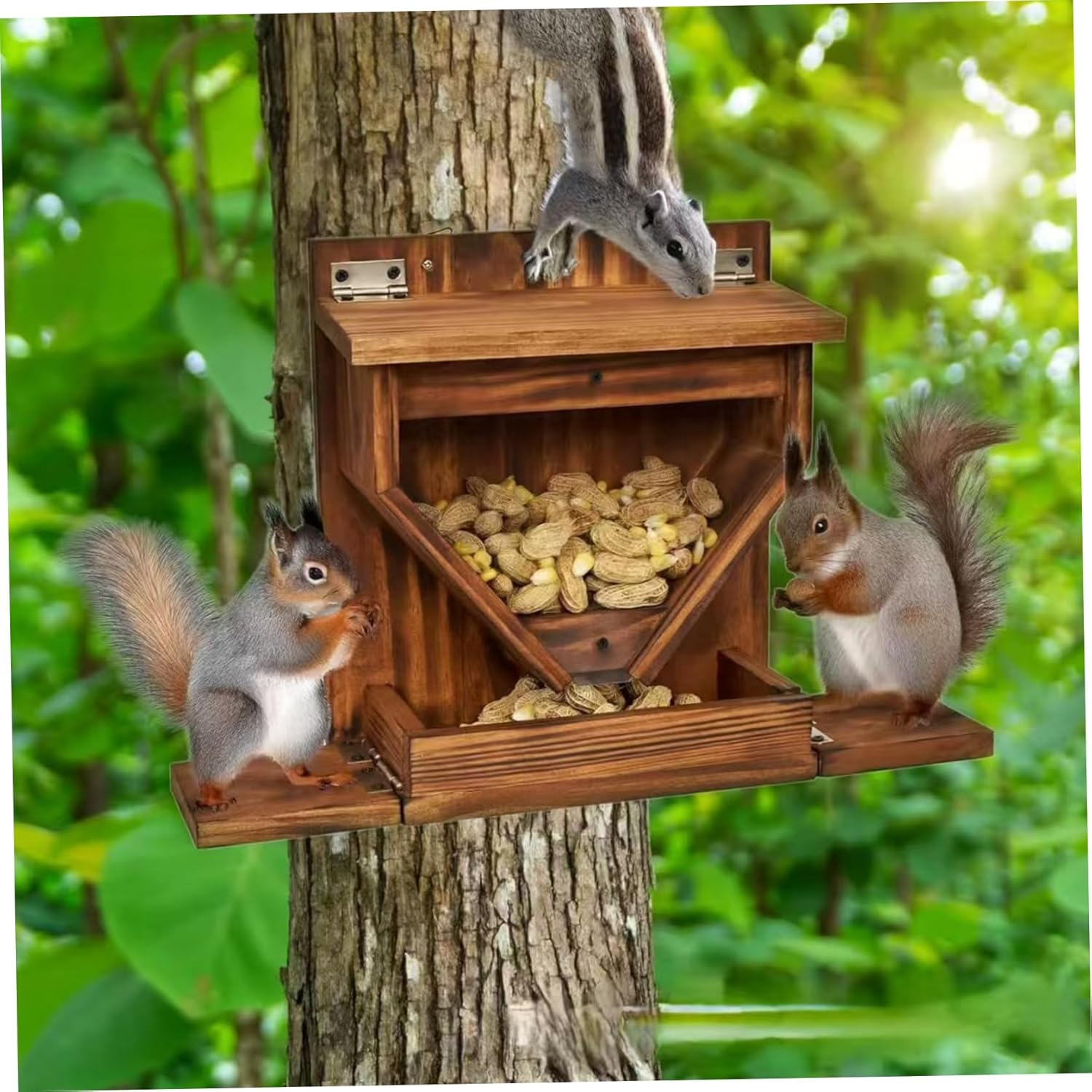 Squirrels Feeder, Wooden Chipmunk Feeder with Flexible Roof, Chipmunk Feeding Box with Transparent Window for Outside, Backyard and Garden Squirrels Feeders