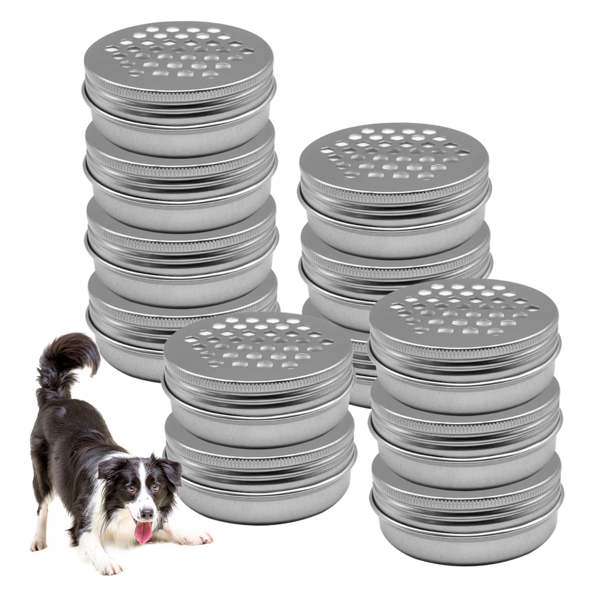 Entrenamiento De Aromas para Perros Kit De Entrenamiento De Aromas para Perros 12 PCS Equipo De Entrenamiento De Aromas De Agilidad para Perros De Aluminio Entrenamiento De Olores De Nariz De Perro