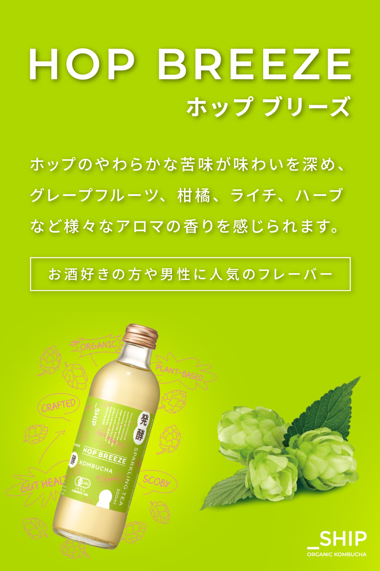 Amazon.co.jp: 【累計販売数25万本】 コンブチャ 酵素ドリンク