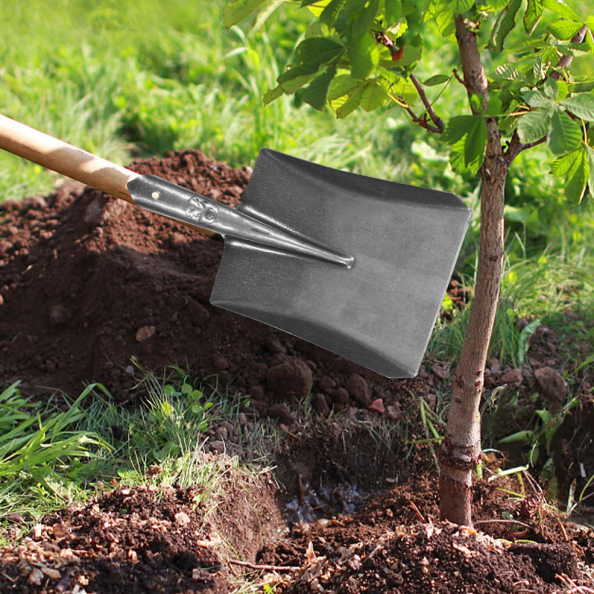 TOYANDONA Robuste Gartenschaufel ohne Stiel aus Stahl Kleiner Handspaten für Gartenarbeit Unkrautstecher und Bodenbearbeitung Vielseitig für Pflanzen Jäten und Umgraben im Hausgarten