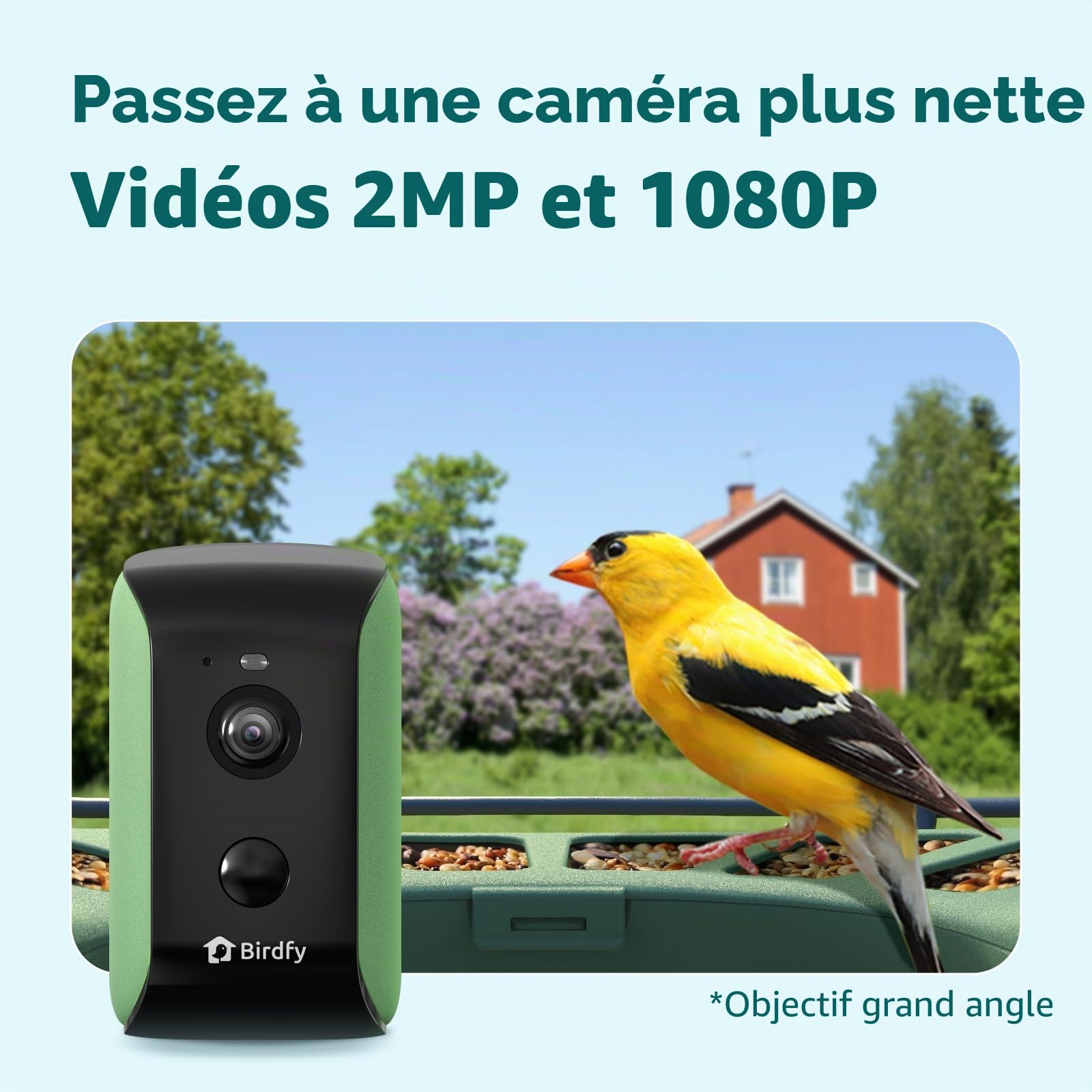 Birdfy Feeder 2 Mangeoire à Oiseaux avec Caméra et Panneau Solaire, Caméra d'observation des Oiseaux, Identification Automatique, Alerte, Capture vidéo d'oiseaux, Mangeoire Oiseaux Exterieur