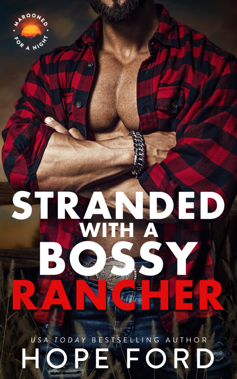 Stranded with a Bossy Rancher