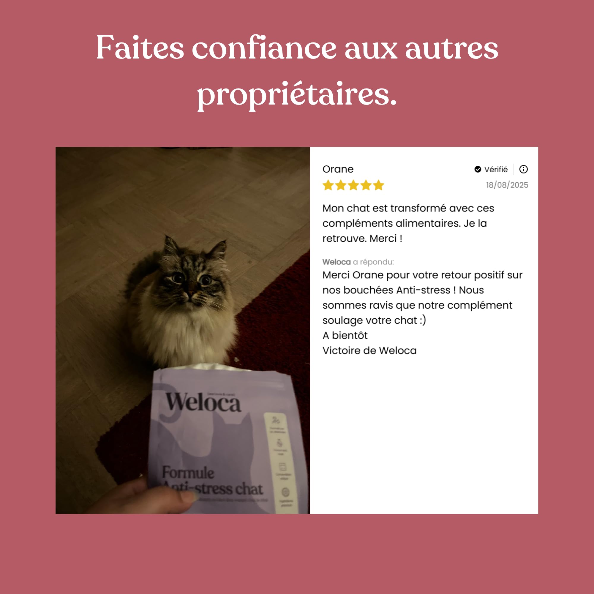 Anti-stress Chat - Anti marquage Urinaire, Anti griffade - Apaisant contre les problèmes comportementaux du chat ou changements (déménagement) - 120 bouchées naturelles très appétentes - Calmant chat