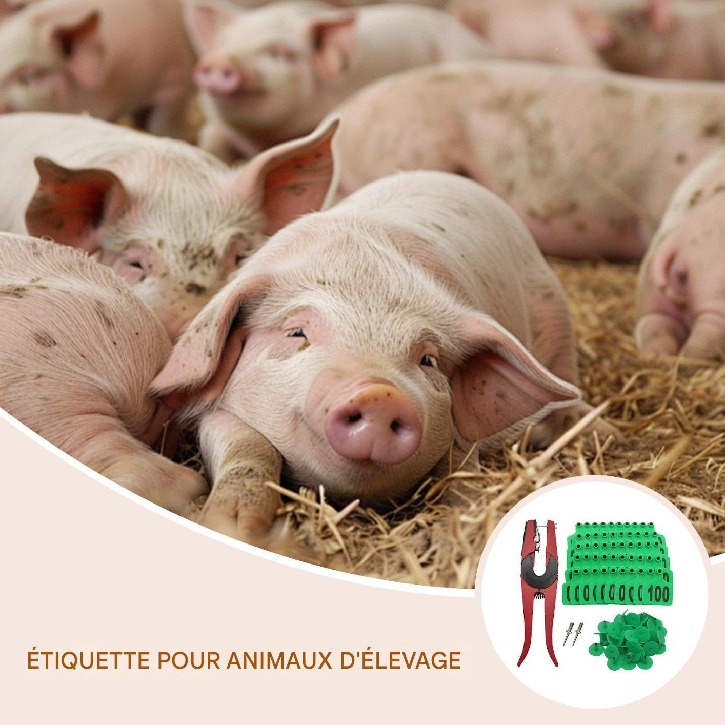 Boucles d'oreille pour bovins | Étiquettes De Marquage Pour Bétail | Étiquettes numérotées 001-100 avec applicateur pour élevage bovin identification animale moutons chèvres et gestion de