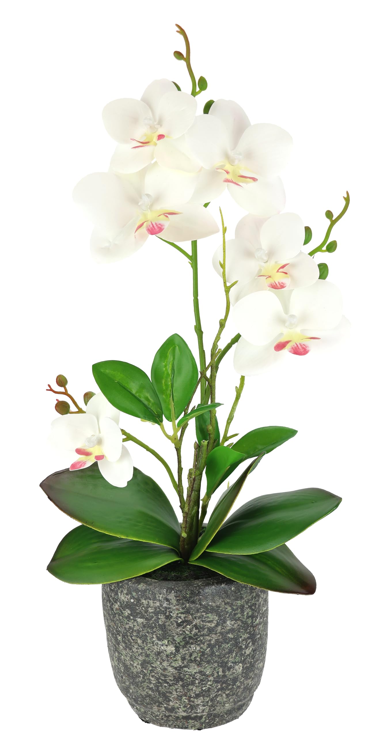 Kunstplant Badkamer Decor Olrla Kunstmatige Roze Orchideeënplant - 3 Takken In Witte Pot, Realistisch, 50 Cm Hoog - Voor Tafel Decoratie Olrla Nep Orchidee Roze 3 Takken Witte Pot Binnen Decoratie
