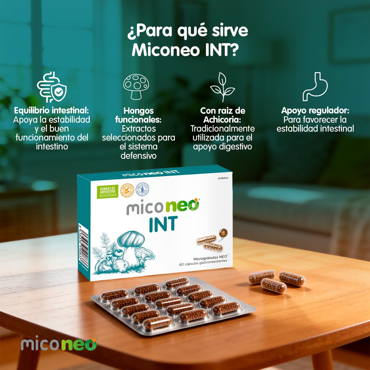MICO NEO | INT | 60 Cápsulas | A Base de Achicoria, Shiitake, Melena de León y Seta de Cardo | Prebiótico Natural | Ayuda al Bienestar del Sistema Digestivo