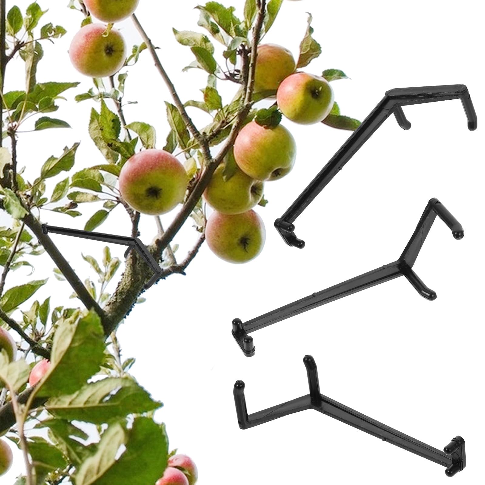 Écarteurs de Branches Pe Noir Réglables 10 Pièces pour Arbres Fruitiers